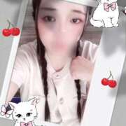 ヒメ日記 2025/08/31 19:00 投稿 ミモザ 飾窓