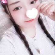 ヒメ日記 2025/08/31 23:51 投稿 ミモザ 飾窓