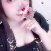 ヒメ日記 2025/09/01 09:30 投稿 ミモザ 飾窓