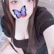 ヒメ日記 2025/09/01 19:00 投稿 ミモザ 飾窓