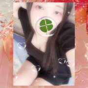 ヒメ日記 2025/09/01 22:00 投稿 ミモザ 飾窓