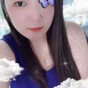 ヒメ日記 2025/09/02 13:05 投稿 ミモザ 飾窓