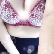 ヒメ日記 2025/09/02 17:05 投稿 ミモザ 飾窓