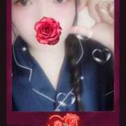 ヒメ日記 2025/09/03 09:30 投稿 ミモザ 飾窓