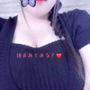 ヒメ日記 2025/09/03 13:00 投稿 ミモザ 飾窓