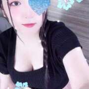 ヒメ日記 2025/09/03 16:00 投稿 ミモザ 飾窓