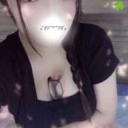 ヒメ日記 2025/09/03 23:52 投稿 ミモザ 飾窓