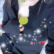 ヒメ日記 2025/09/05 13:30 投稿 ミモザ 飾窓