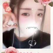 ヒメ日記 2025/09/06 09:30 投稿 ミモザ 飾窓