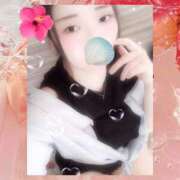 ヒメ日記 2025/09/06 16:00 投稿 ミモザ 飾窓