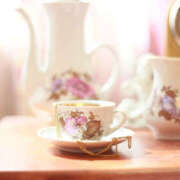 ヒメ日記 2025/09/08 13:01 投稿 ミモザ 飾窓