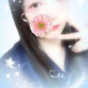 ヒメ日記 2025/09/09 10:00 投稿 ミモザ 飾窓