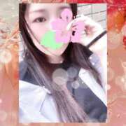 ヒメ日記 2025/09/09 13:05 投稿 ミモザ 飾窓