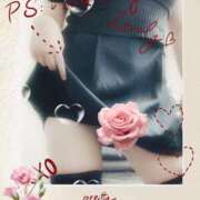 ヒメ日記 2025/09/10 16:03 投稿 ミモザ 飾窓