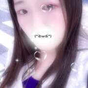 ヒメ日記 2025/09/12 15:25 投稿 ミモザ 飾窓