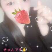 ヒメ日記 2025/09/13 09:30 投稿 ミモザ 飾窓