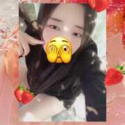 ヒメ日記 2025/09/13 13:08 投稿 ミモザ 飾窓