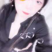 ヒメ日記 2025/09/13 16:00 投稿 ミモザ 飾窓