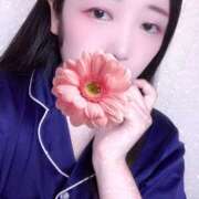 ヒメ日記 2025/09/15 09:32 投稿 ミモザ 飾窓