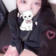 ヒメ日記 2025/09/15 10:00 投稿 ミモザ 飾窓