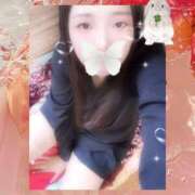 ヒメ日記 2025/09/15 19:00 投稿 ミモザ 飾窓