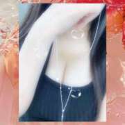 ヒメ日記 2025/09/17 10:00 投稿 ミモザ 飾窓