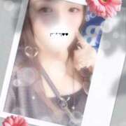 ヒメ日記 2025/09/17 13:01 投稿 ミモザ 飾窓