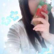 ヒメ日記 2025/09/18 13:00 投稿 ミモザ 飾窓