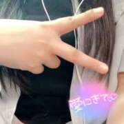 ヒメ日記 2025/09/19 09:30 投稿 ミモザ 飾窓