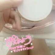 ヒメ日記 2025/09/19 10:01 投稿 ミモザ 飾窓