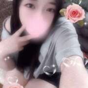 ヒメ日記 2025/09/19 13:00 投稿 ミモザ 飾窓