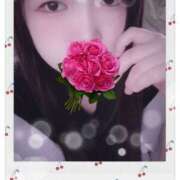 ヒメ日記 2025/09/19 19:00 投稿 ミモザ 飾窓