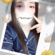 ヒメ日記 2025/09/20 09:32 投稿 ミモザ 飾窓