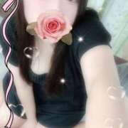 ヒメ日記 2025/09/20 19:00 投稿 ミモザ 飾窓