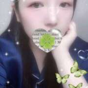 ヒメ日記 2025/09/22 09:35 投稿 ミモザ 飾窓