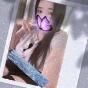 ヒメ日記 2025/09/25 13:00 投稿 ミモザ 飾窓