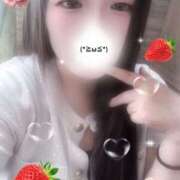 ヒメ日記 2025/09/25 19:00 投稿 ミモザ 飾窓