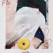 ヒメ日記 2025/09/26 00:04 投稿 ミモザ 飾窓