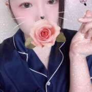 ヒメ日記 2025/09/26 10:00 投稿 ミモザ 飾窓