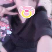 ヒメ日記 2025/09/26 13:00 投稿 ミモザ 飾窓