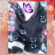 ヒメ日記 2025/09/26 16:00 投稿 ミモザ 飾窓