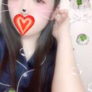 ヒメ日記 2025/09/27 09:30 投稿 ミモザ 飾窓