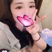 ヒメ日記 2025/09/27 11:30 投稿 ミモザ 飾窓