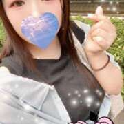 ヒメ日記 2025/09/27 16:50 投稿 ミモザ 飾窓