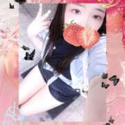 ヒメ日記 2025/09/27 22:45 投稿 ミモザ 飾窓