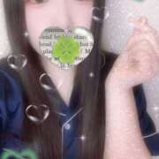 ヒメ日記 2025/09/28 09:34 投稿 ミモザ 飾窓