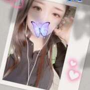 ヒメ日記 2025/09/28 10:00 投稿 ミモザ 飾窓