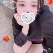 ヒメ日記 2025/09/28 12:40 投稿 ミモザ 飾窓