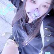 ヒメ日記 2025/09/28 15:30 投稿 ミモザ 飾窓