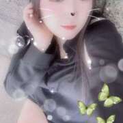 ヒメ日記 2025/09/28 19:22 投稿 ミモザ 飾窓